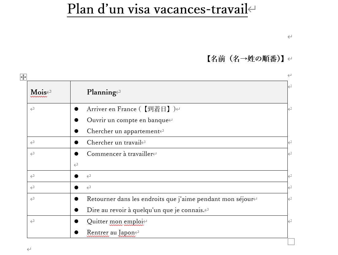 計画書