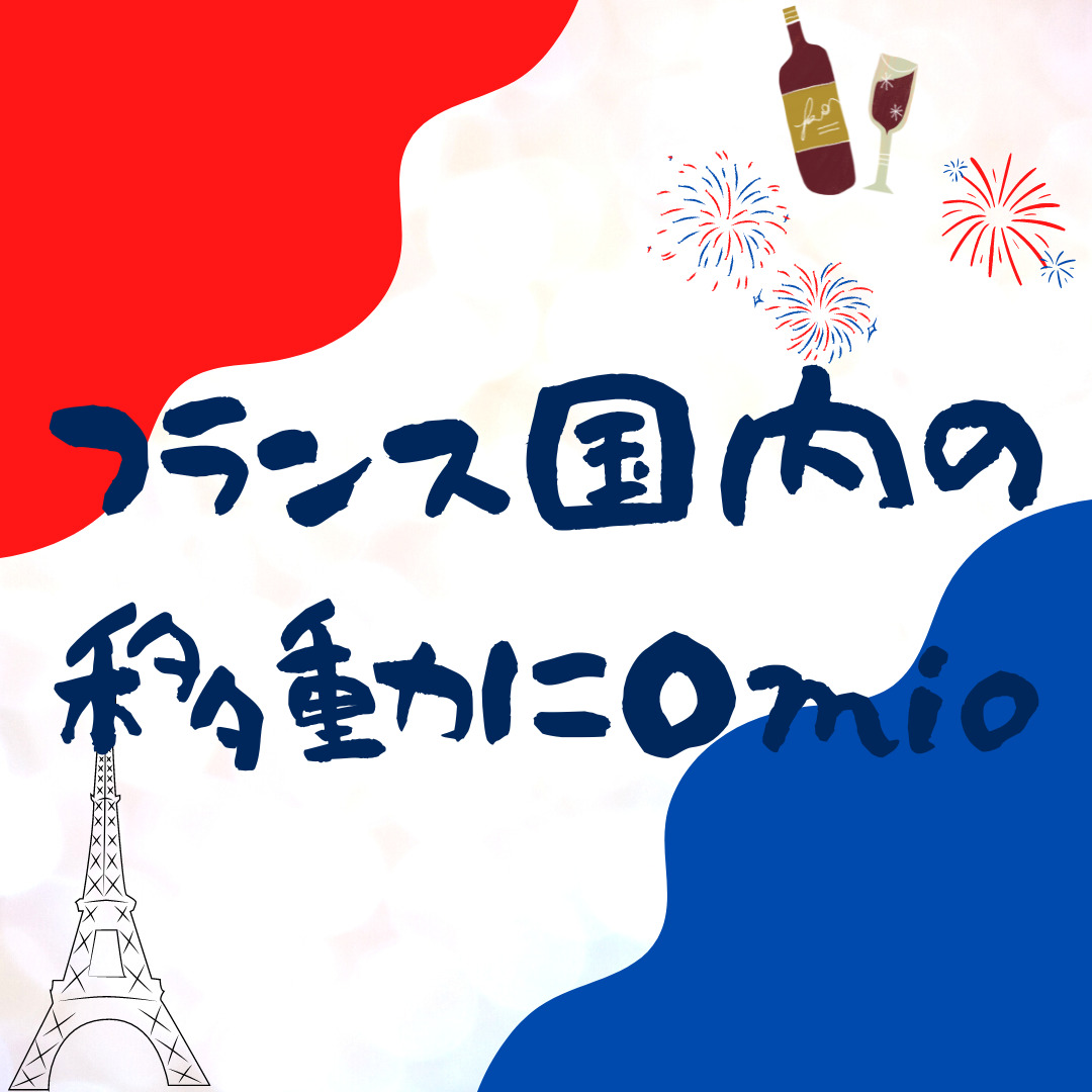 フランス国内を安く移動する方法【ボルドー↔リヨンなど】【Omio】