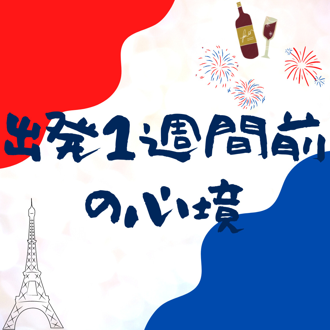 フランスワーホリまであと1週間を切ったので、今の心境などをつらつらと書きます。【エッセイ】