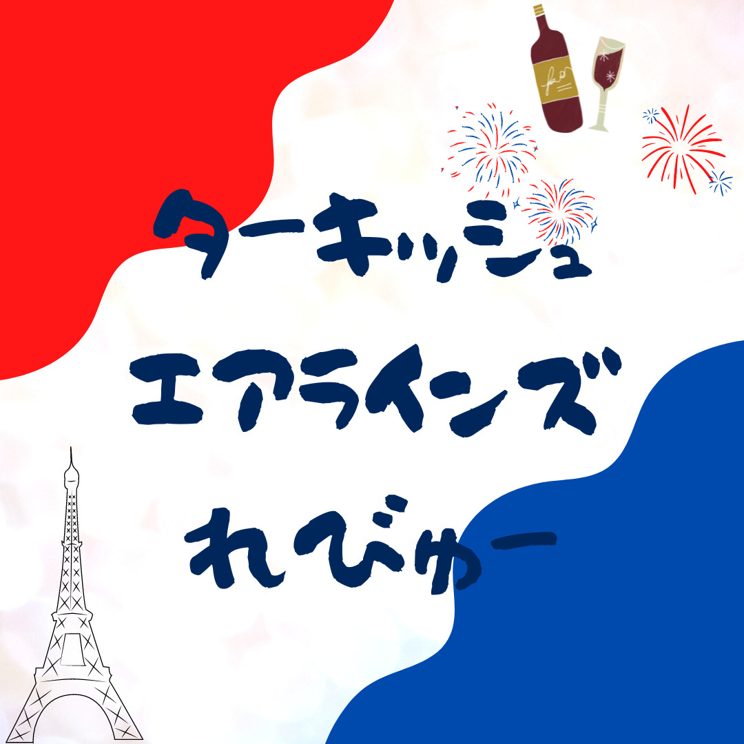 ターキッシュエアラインズのエコノミーの感想。【東京→イスタンブール→ボルドー】