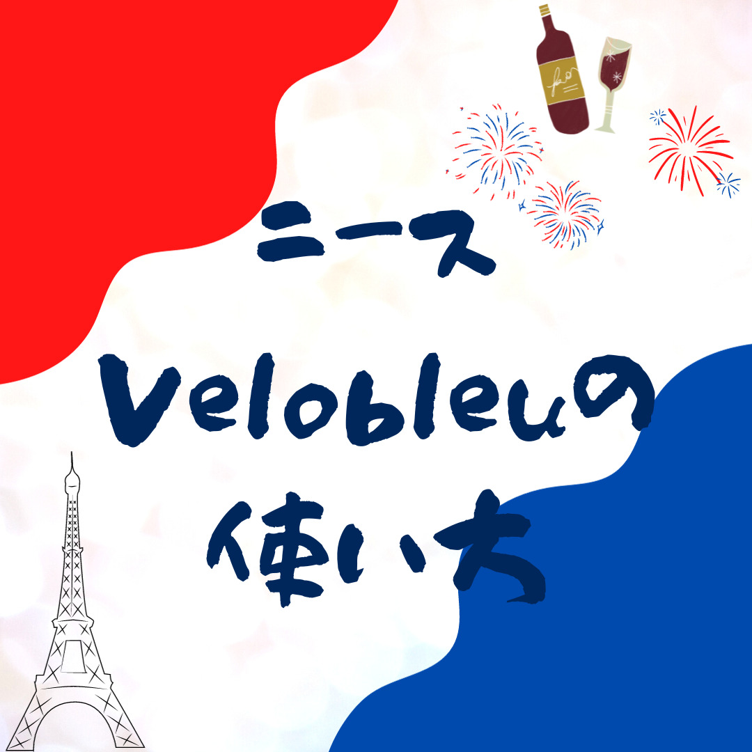 ニースでレンタル自転車を使う方法【vélobleu】【NFC】